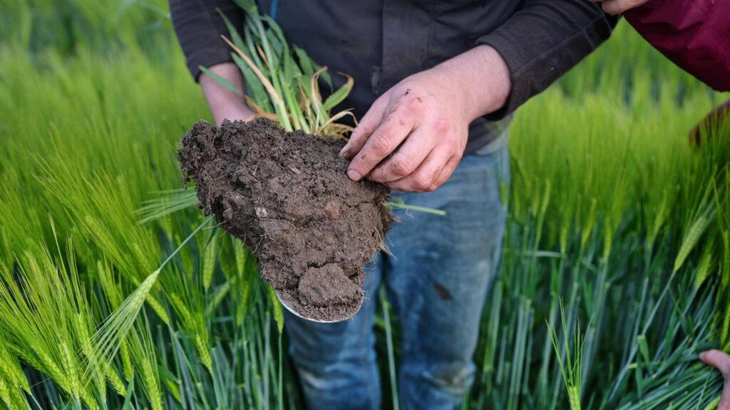 Regenerative Landwirtschaft