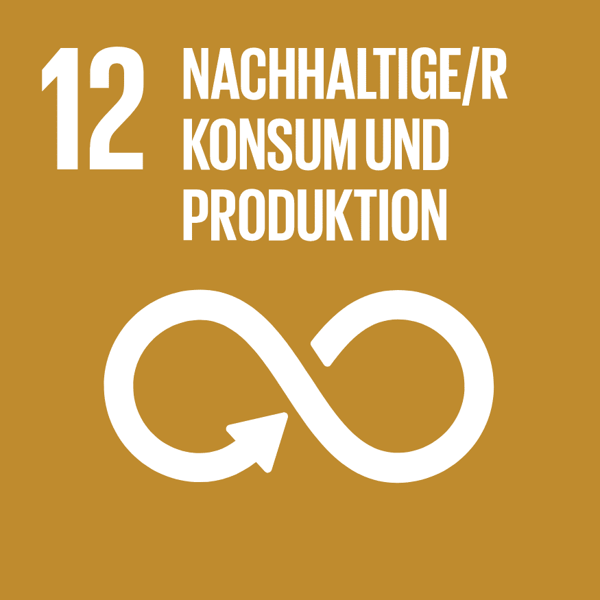 Nachhaltigkeitsziel Nr. 12 Nachhaltiger Konsum und Produktion