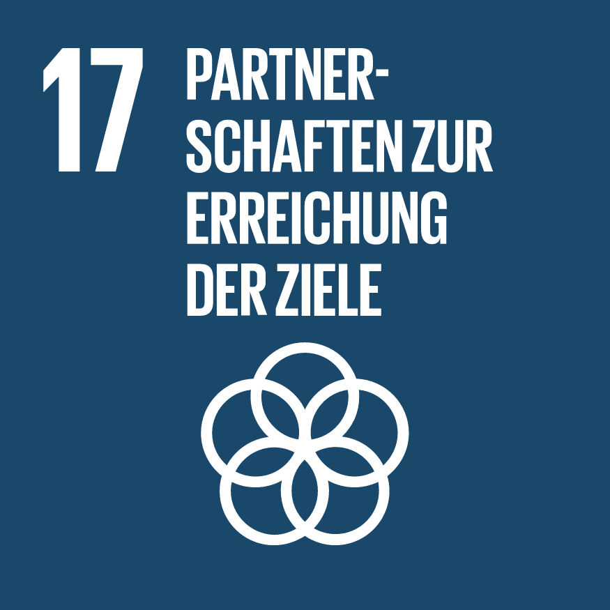 Nachhaltigkeitsziel Nr. 17 Partnerschaften zur Erreichung der Ziele