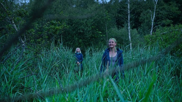 Morgengrauen auf der Wasserbüffel-Safari.