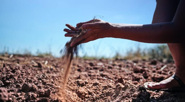 Klimawandel Dürre Bodenerosion Regenerative Landwirtschaft