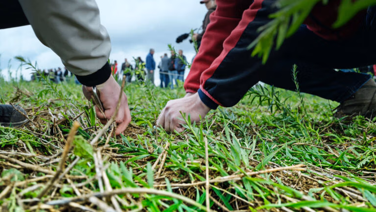 Städte versiegeln 5 % der Fläche – Ackerbau 70 %. Jeder gepflügte Boden wirkt wie Asphalt. Warum Direktsaat der wahre Hebel für Klima und Boden ist.