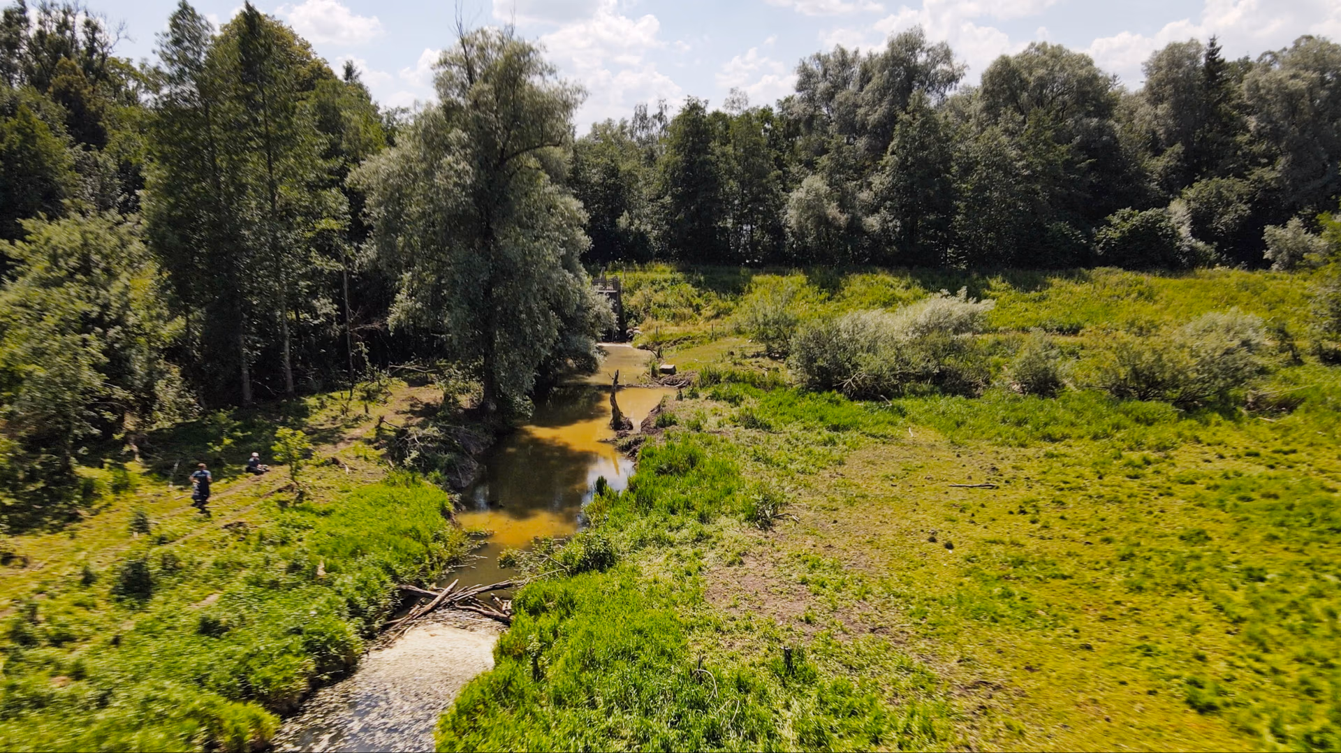 Viktor Schauberger über den Wasserkreislauf: Nur bedeckte Böden halten Wasser und Nährstoffe im Fluss. Warum nackte Böden verdursten und sterben – und wie wir fruchtbare Erde bewahren.