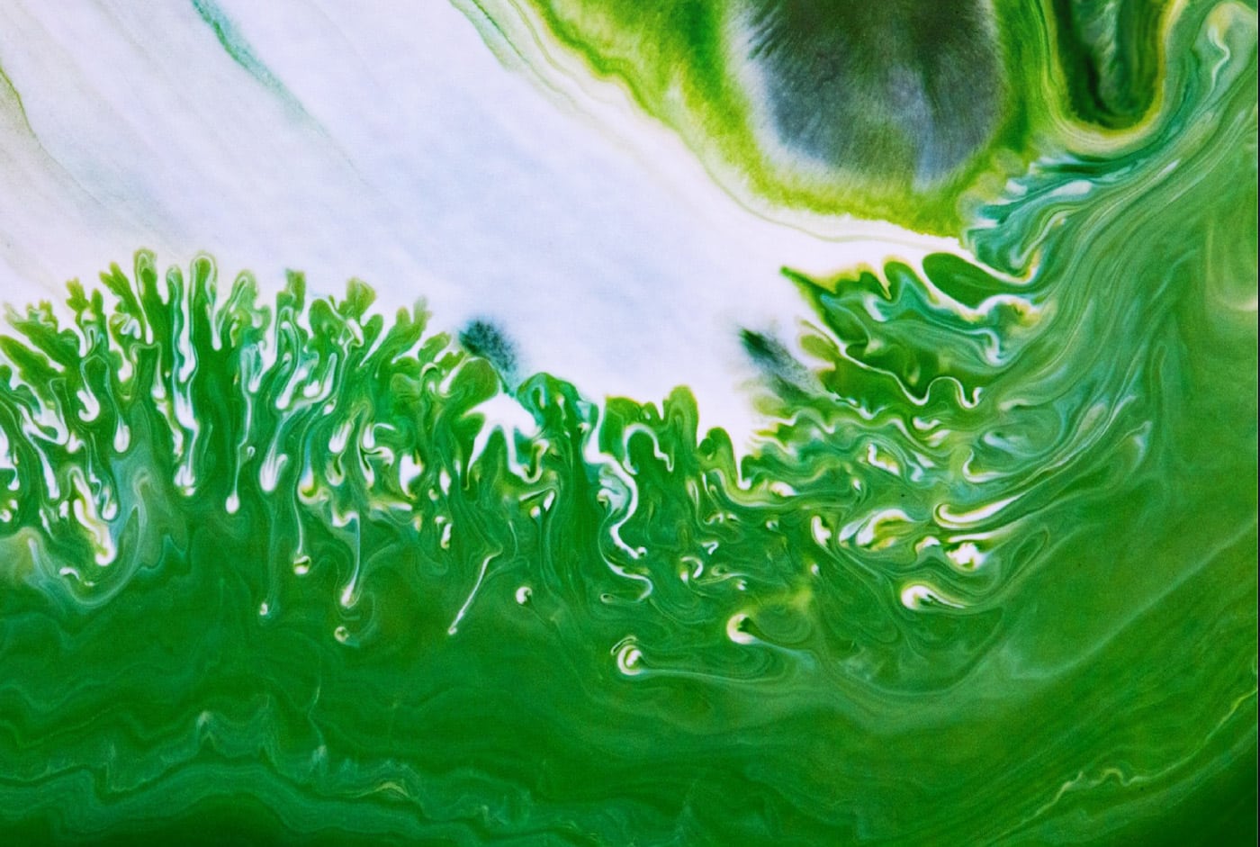 alganize – Bodenverbesserung mit Algen