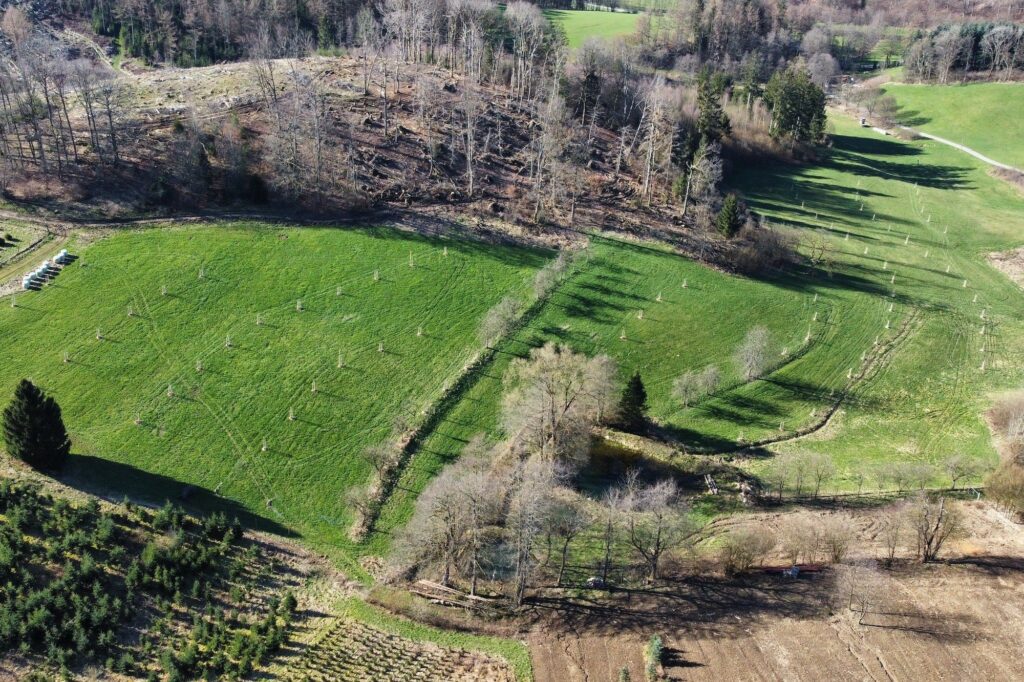 TRIEBWERK - Planungsbüro für Agroforstwirtschaft